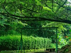 -广州市石门国家森林公园