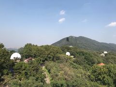 -紫金山天文台