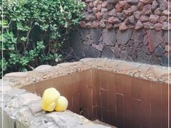-北京益泉花园酒店