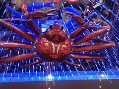 -蟹之国·精品蟹料理(极地店)