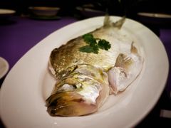 清蒸白水鱼-张福记(陇海中路店)