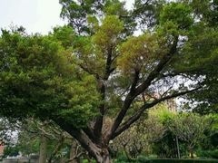 -晓港公园