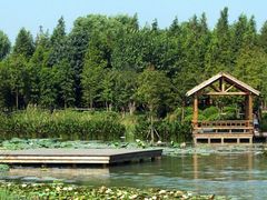 -昆山城市生态森林公园