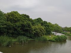 -新江湾城公园