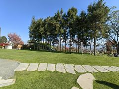 -云禾壹海景庄园餐厅