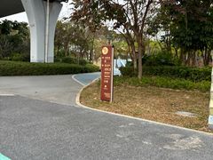 -宝安西湾红树林湿地公园