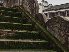 -上海鲜花港