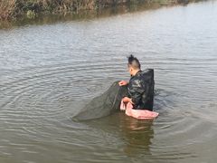 -锦桃农家菜馆