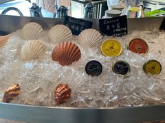 -Oyster Talks 四度蚝法餐厅