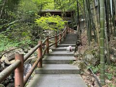 -藏龙百瀑风景区