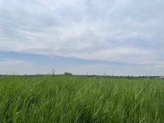 -赛汗塔拉草原公园