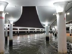 -演武大桥观景平台