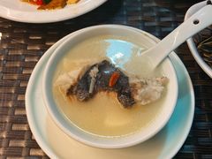 -全乐鱼馆·淳牌有机鱼直营店