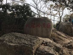 -紫金山山顶公园