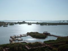 -芒洲湿地公园