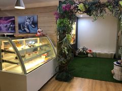 -Husky Go! 哈士奇体验馆·宠物咖啡厅狗咖