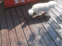 -瑞虹新天地月亮湾