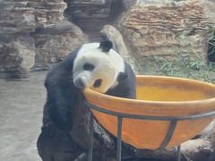 -石家庄市动物园