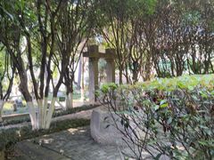 -北极阁公园