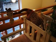 -长颈鹿咖啡(大学路店)