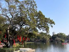-荔湾湖公园
