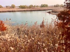 -苏州太湖国际会议中心