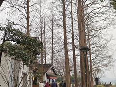 -西湖天地