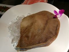 -锅说大脸毛肚重庆老火锅(佐阾店)