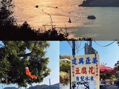 -南丫岛
