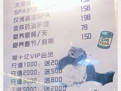 -猫十亿·布偶金渐层·曼基康矮脚猫舍(青年路店)
