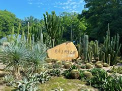 -深圳仙湖植物园