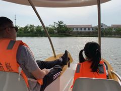 -上海长兴岛郊野公园