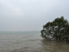 -宝安西湾红树林湿地公园