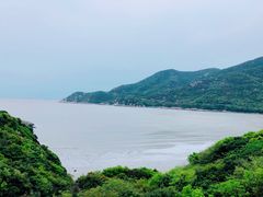 -洲晓鱻舟山海鲜(2号店)