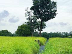 -汉长安城未央宫国家考古遗址公园