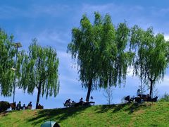 -洨河生态公园