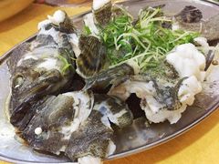 -蚝专家(北滘店)