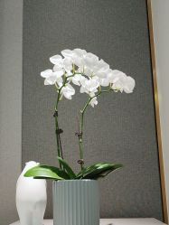 -欧扬医疗美容