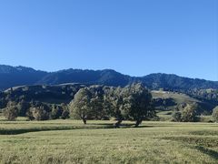 -新疆那拉提国家旅游度假区