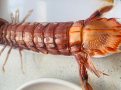 -大锅强·蒸海鲜青岛菜(吾悦广场店)