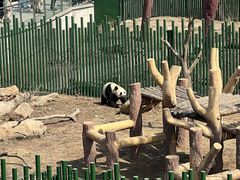 -沈阳森林动物园