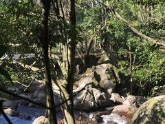 -大围山国家森林公园