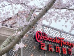 -迪士尼小镇