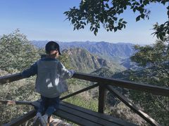 -大岭沟猕猴桃谷风景区