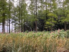 -上海山野camping·户外天幕烧烤·团建拓展营地