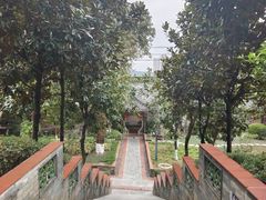 -广州神农草堂中医药博物馆