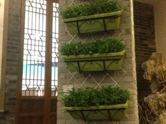 iphone_upload_pic-院落创意菜