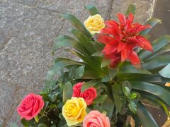 -大师傅金奖啤酒鱼(西街口总店)