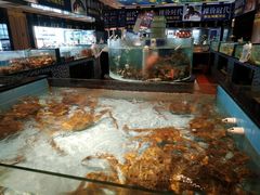 -尚海豆捞(乐虹坊店)