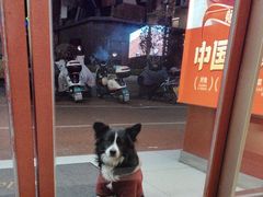 -周麻婆·川式小炒更下饭(武夷山三姑店)